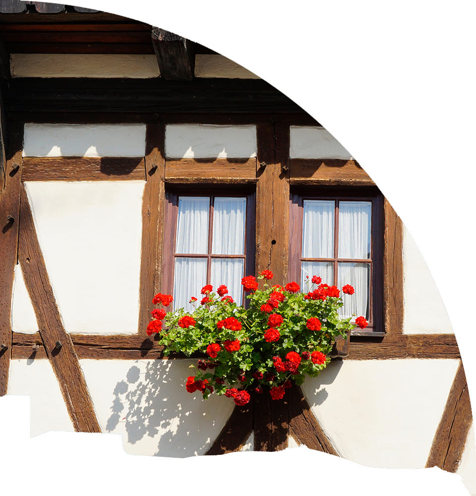Ein altes, gut gepflegtes Fachwerkhaus auf dessen Fensterbank rote Blumen stehen.